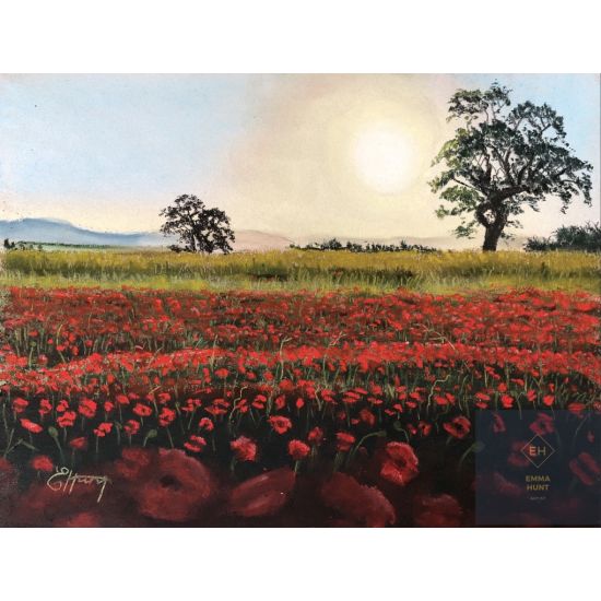 SOLD Poppyfields at Kirkby Thore