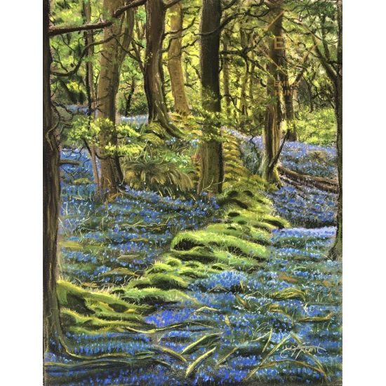 Fishgarth's Woods, Ambleside - Viewable at The Mortal Man