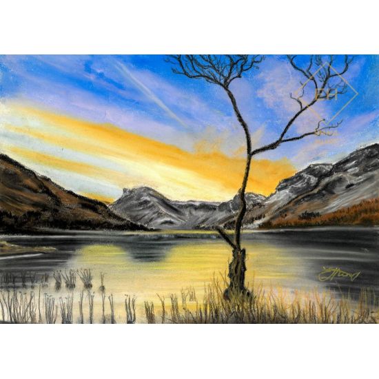 Lone Tree, Buttermere Dawn